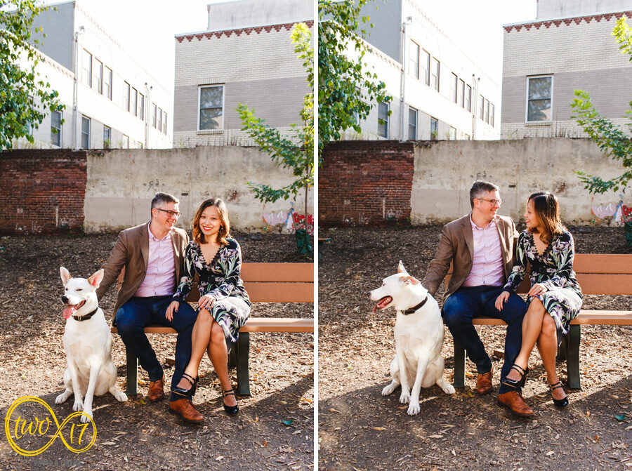 Philadelphia engagement photos with their dogs