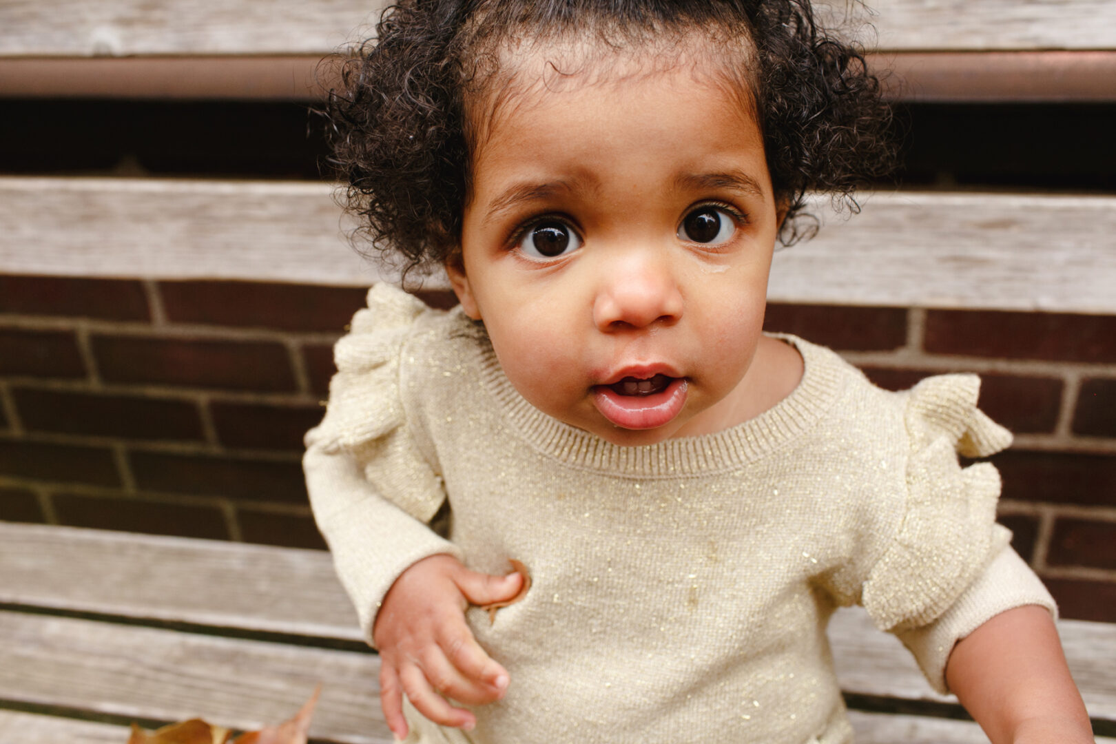In a charming Philadelphia family photo, a toddler with curly hair looks up while seated on a wooden bench, wearing a light-colored sweater.