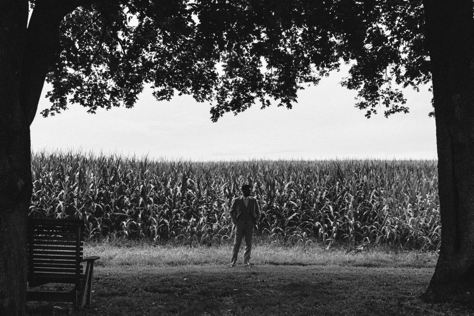 A person wearing a suit and hat stands in front of a large cornfield, framed by two trees, reminiscent of a serene Hotel Du Village wedding scene. A bench is on the left.