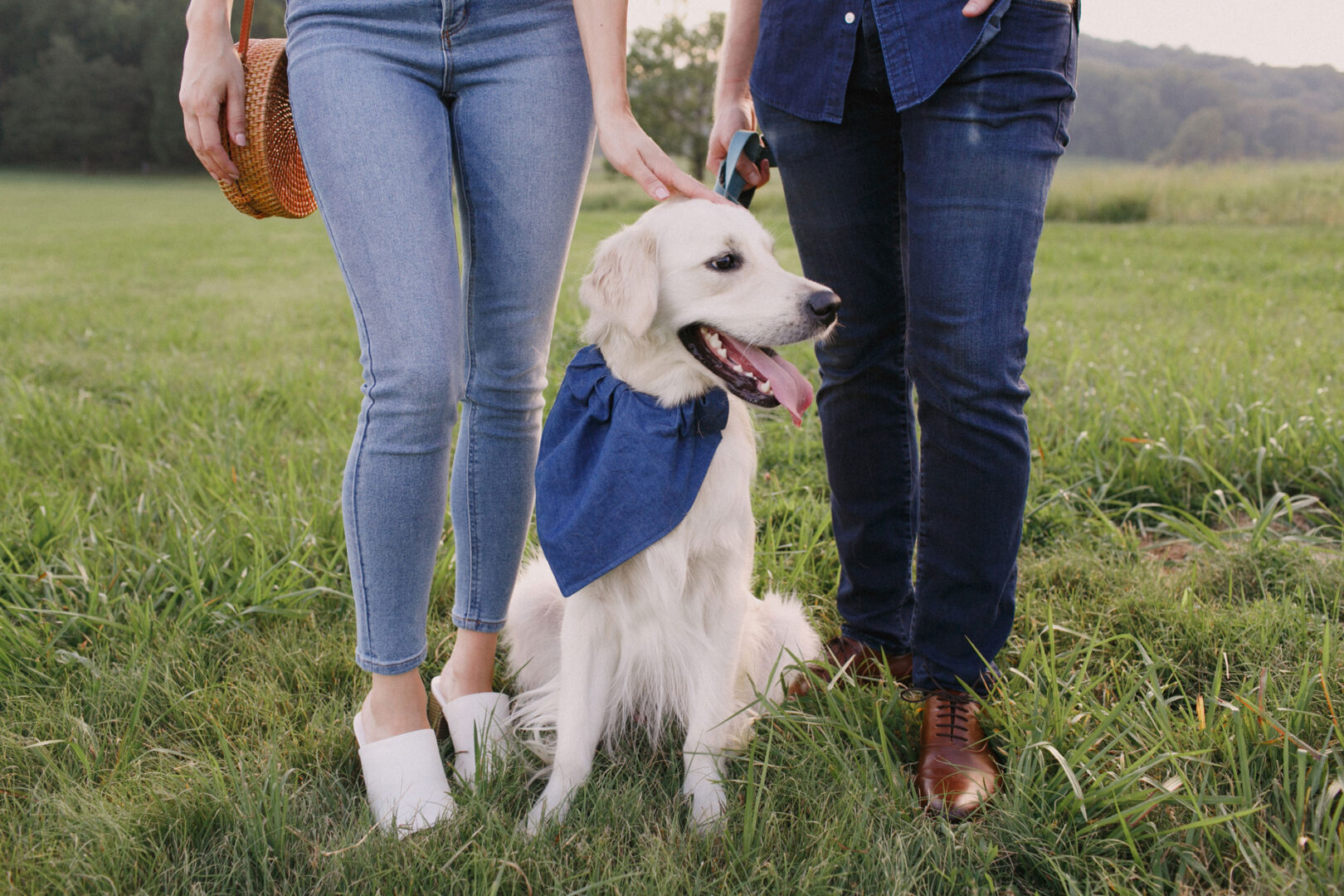 During a Valley Forge engagement session, a golden retriever sporting a blue bandana sits on the grass between two people standing, one with a hat and the other holding a leash.