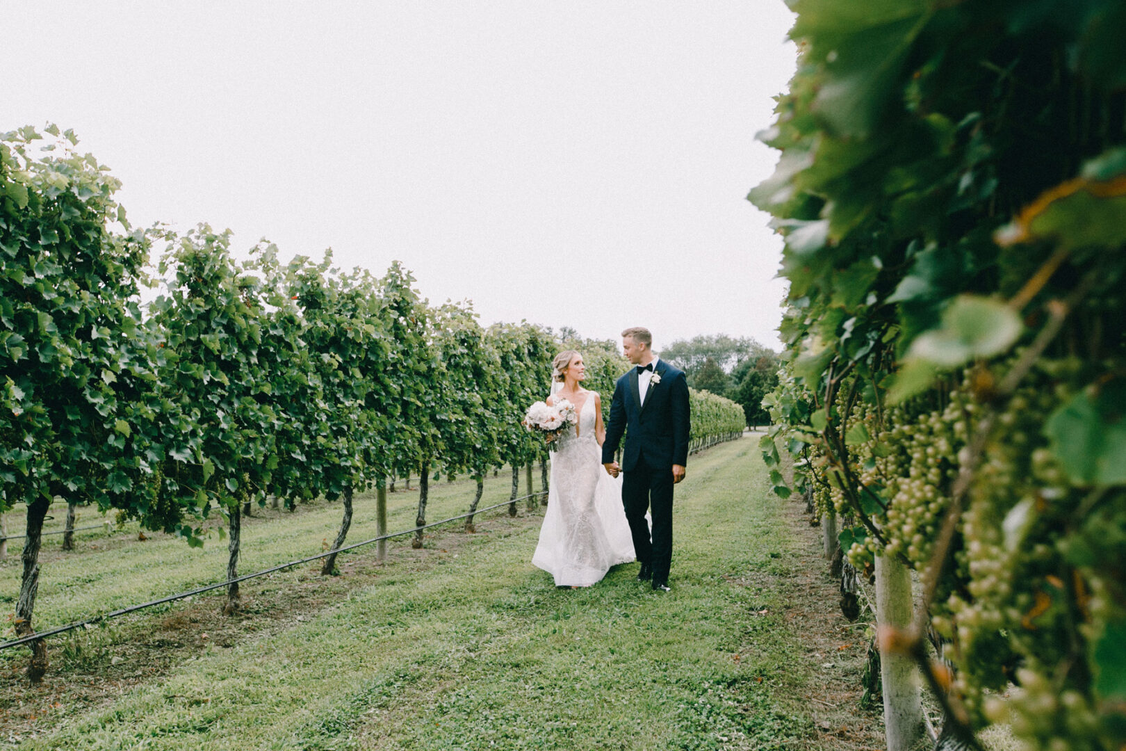 The bride and groom strolled through the lush vineyard at Willow Creek Winery, surrounded by verdant grapevines under a clear sky.