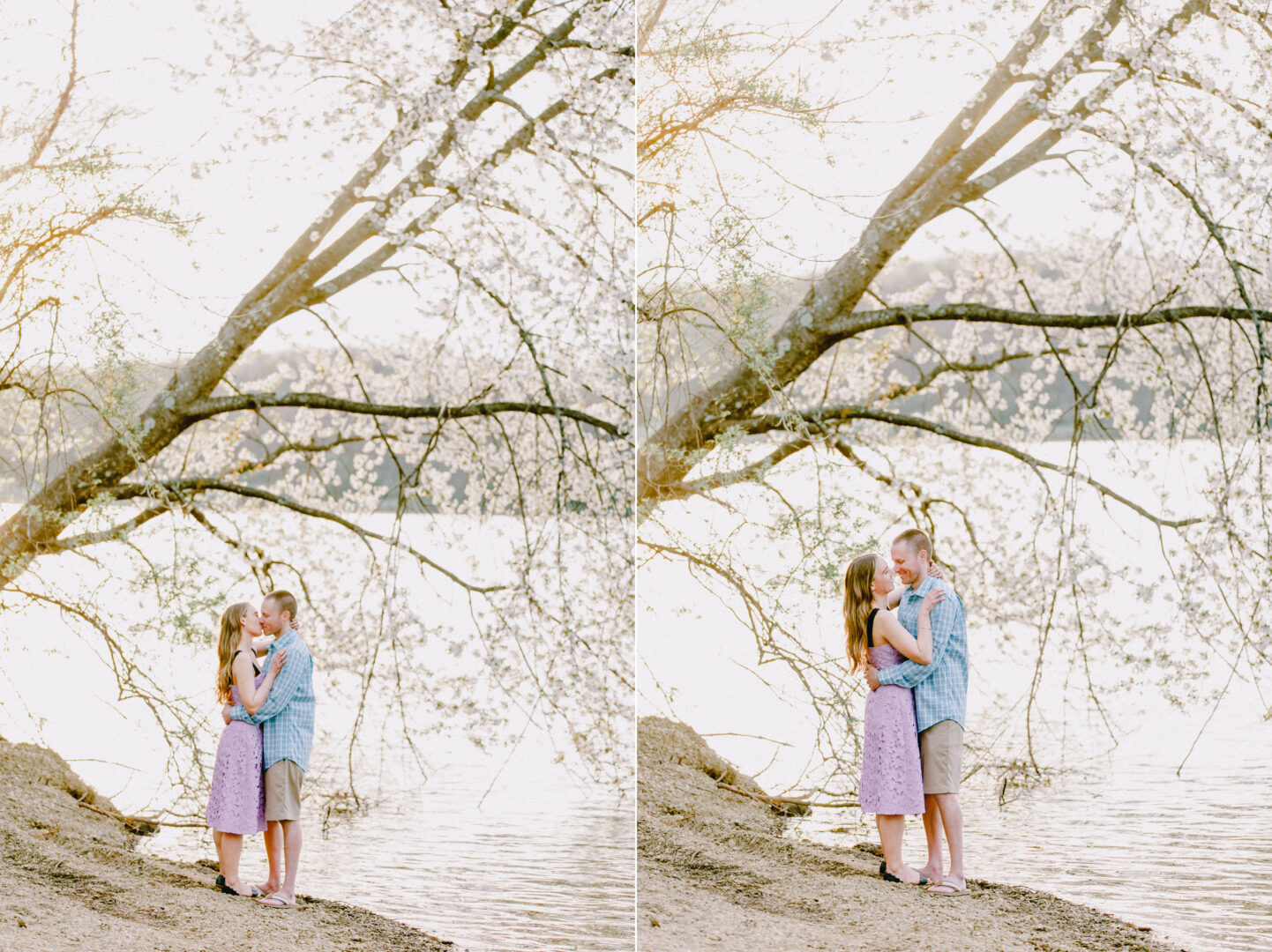 A couple embraces under a blooming tree by a peaceful lakeside on a bright day.