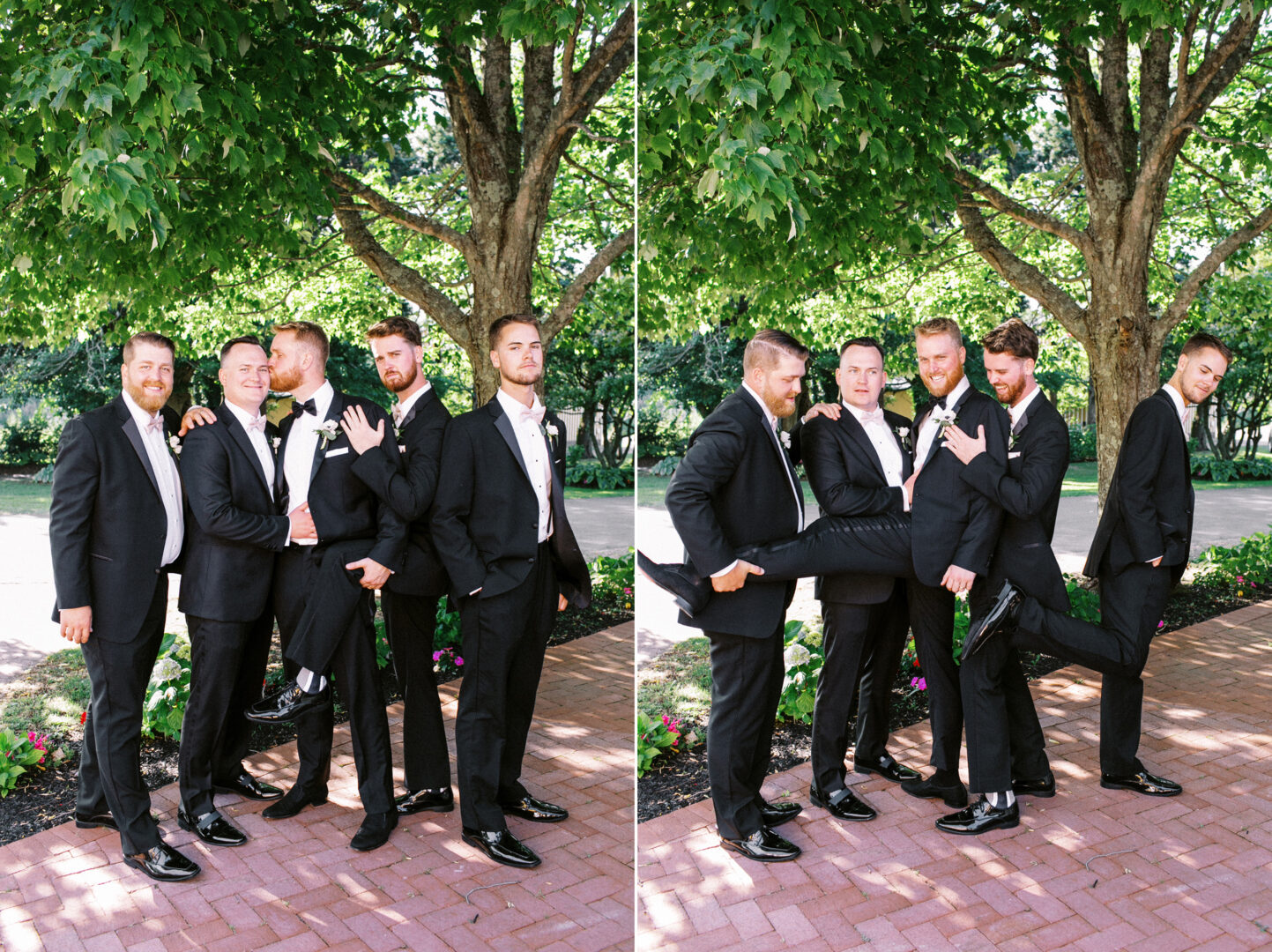 A group of six men in suits pose playfully under a tree at a Willow Creek Winery wedding, with one man being lifted in a humorous manner. They stand on a brick path, surrounded by lush greenery in the background.