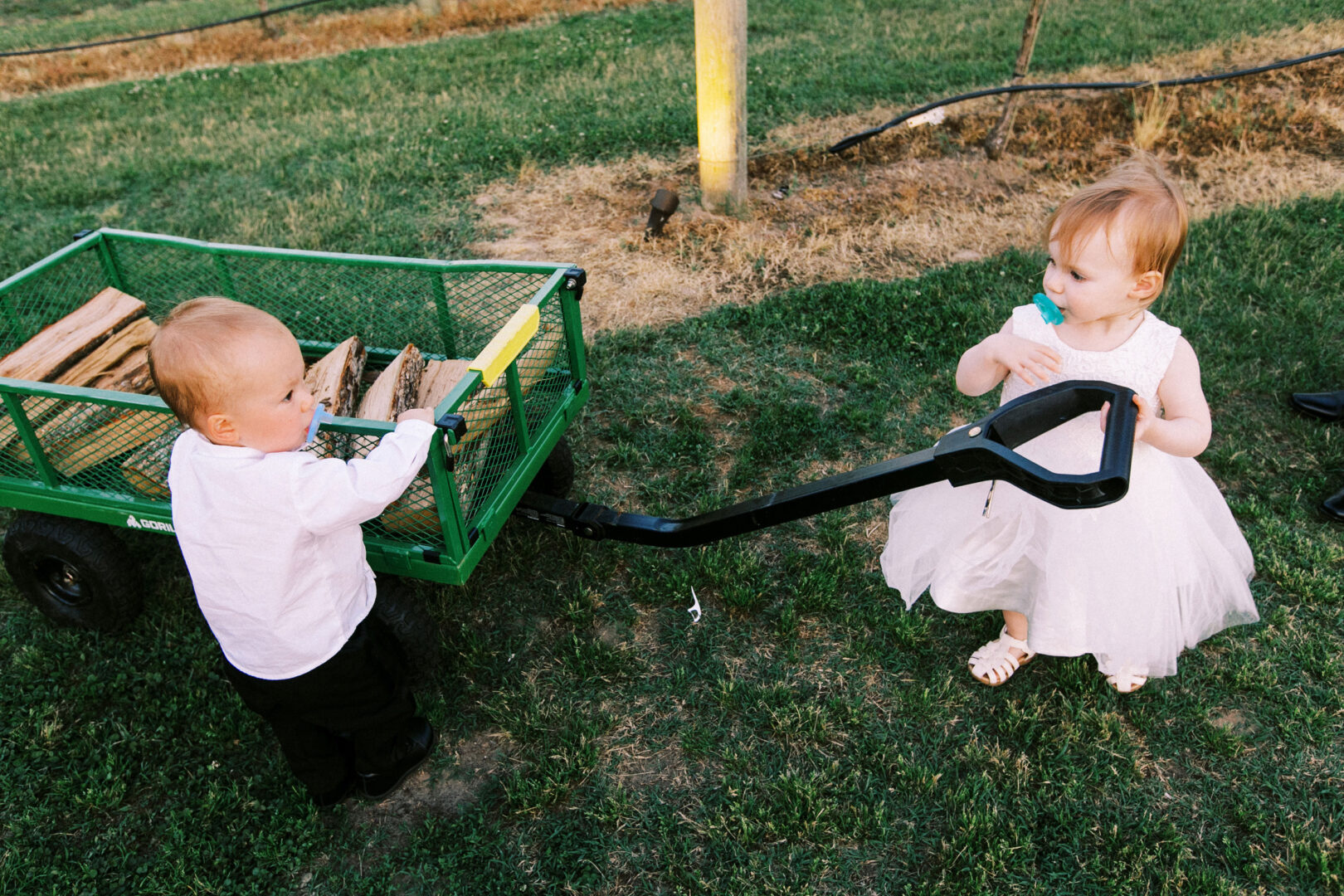 Two toddlers stand by a green wagon carrying wood at the Willow Creek Winery wedding. One, in a white shirt, holds the handle; the other, wearing a white dress, sucks on a pacifier while standing nearby on grass.