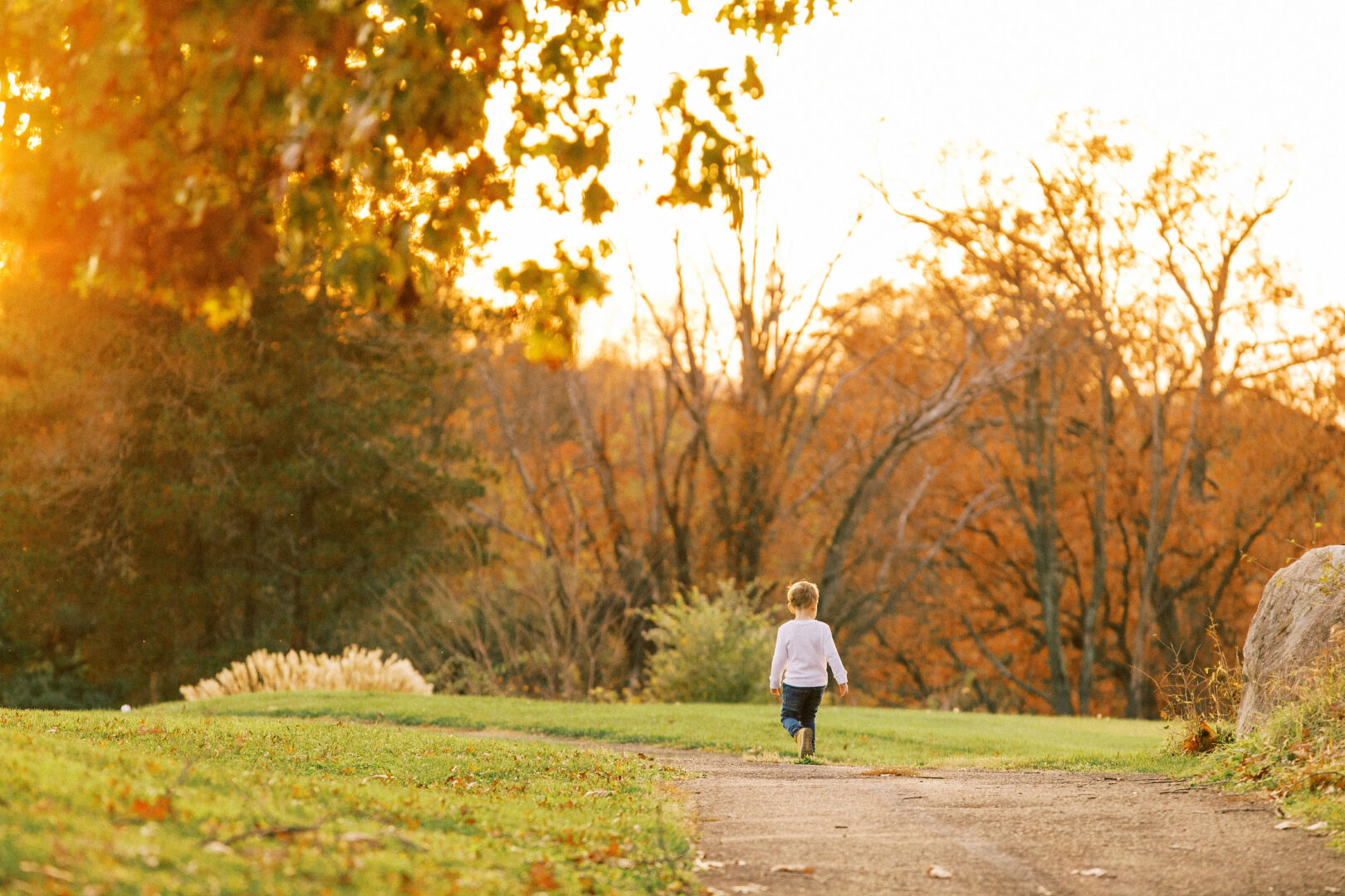 Kid running towards fall foliage during a Two17 Photo family session