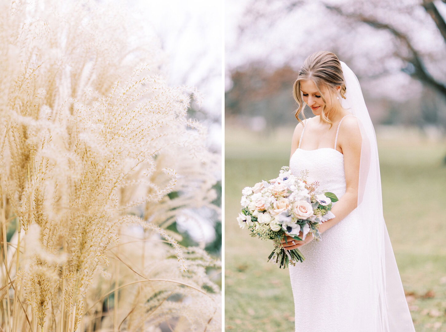 Left: Tall, wispy grass sways gently. Right: A bride in a white dress, holding a bouquet, stands outdoors, reminiscent of a dreamy Ballroom at Ellis Preserve wedding.