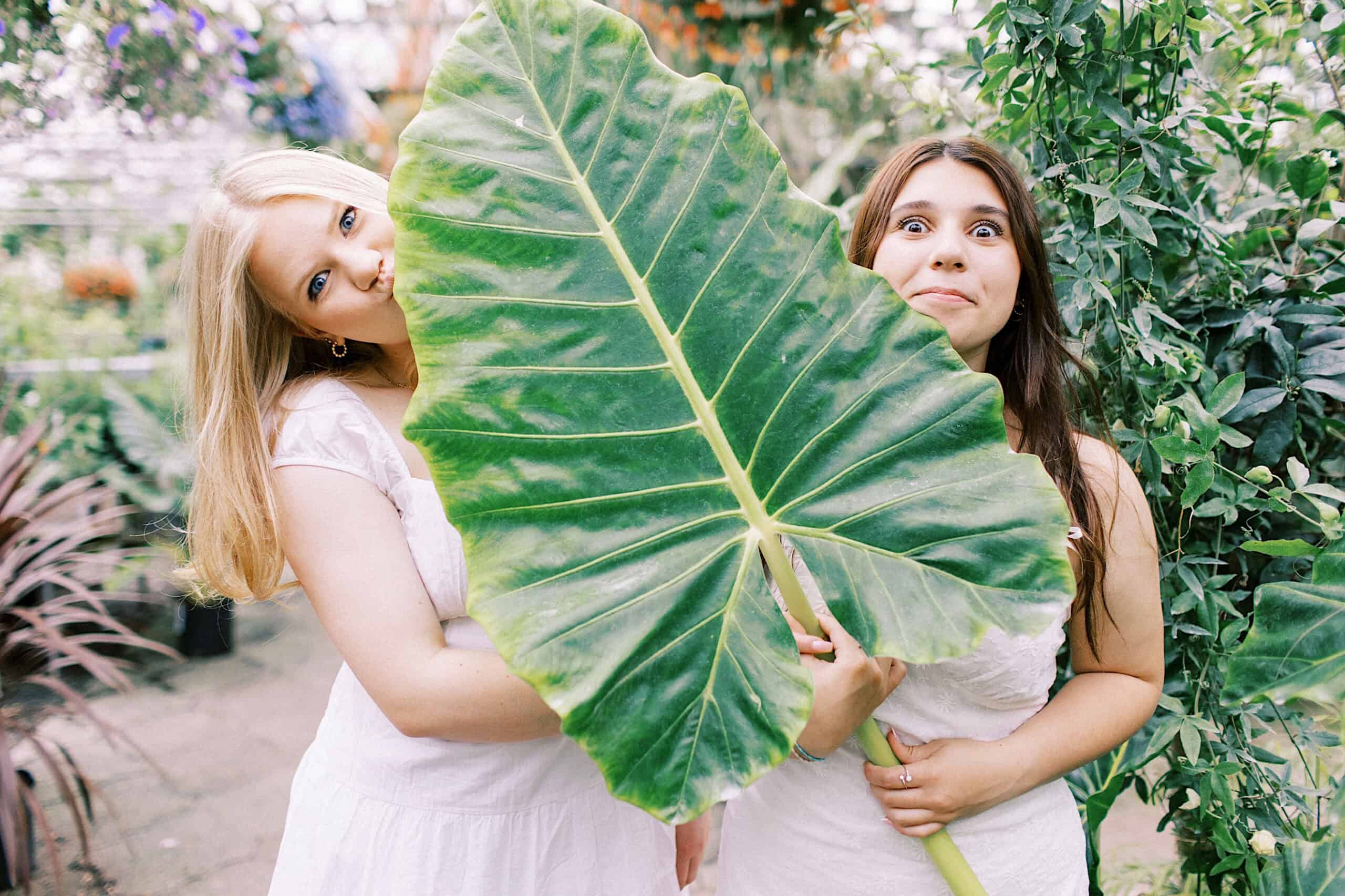 Two young women in white dresses hold a large green leaf in front of them; one peeks over the top while the other makes a surprised face, capturing a fun moment during their Senior Portrait Session in Montgomery County’s lush garden setting.