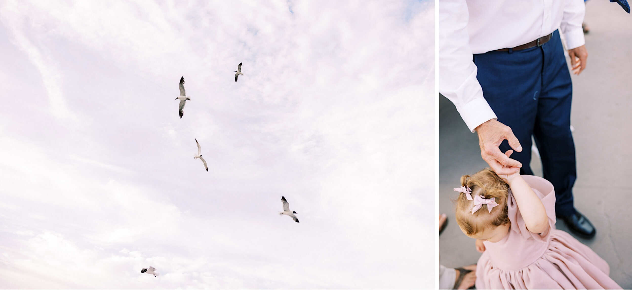 Four birds fly in a cloudy sky on the left; on the right, an adult holds a young girl's hand as she looks down in her pink dress—capturing a tender moment reminiscent of a Montreal Beach Resort Wedding.