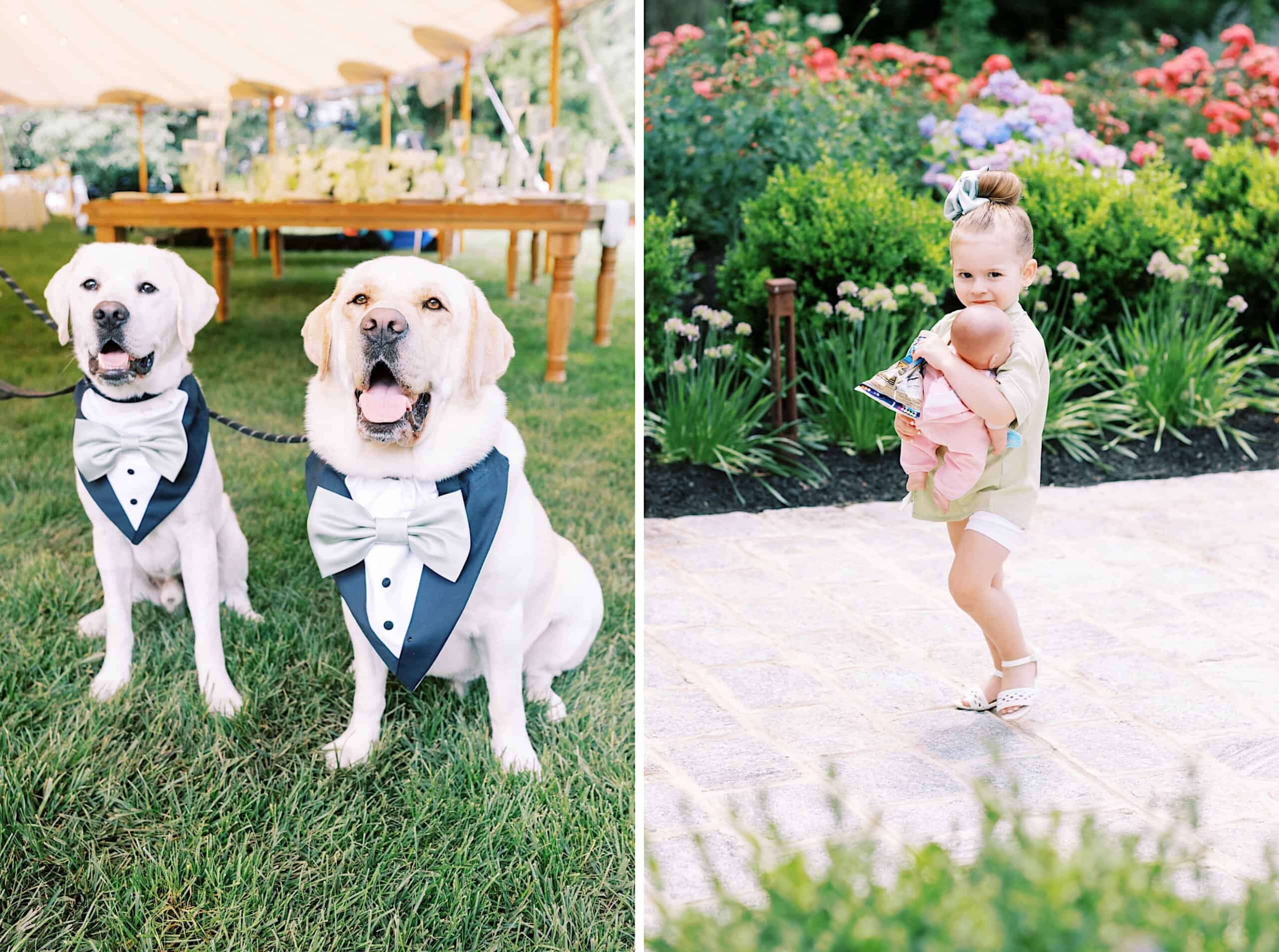 Two dogs in tuxedo vests sit on grass beside a wedding tent at a romantic backyard wedding in NJ; a young girl stands on a garden path holding a baby doll.