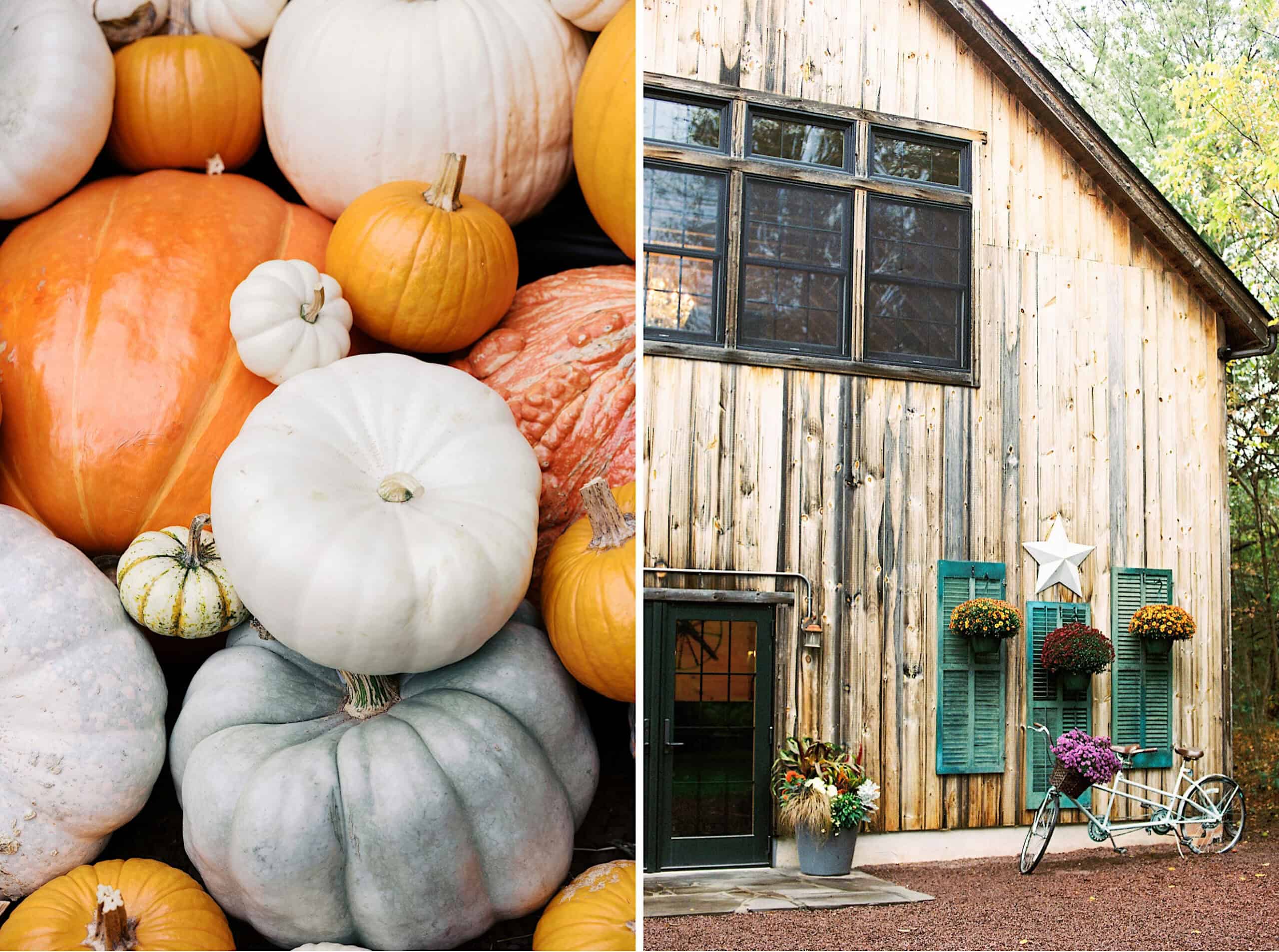 Left: Assorted pumpkins and gourds in various colors and sizes. Right: Rustic wooden building with blue shutters, potted flowers, and a bicycle by the entrance—perfect for a beautiful Lochwood Manor wedding backdrop.