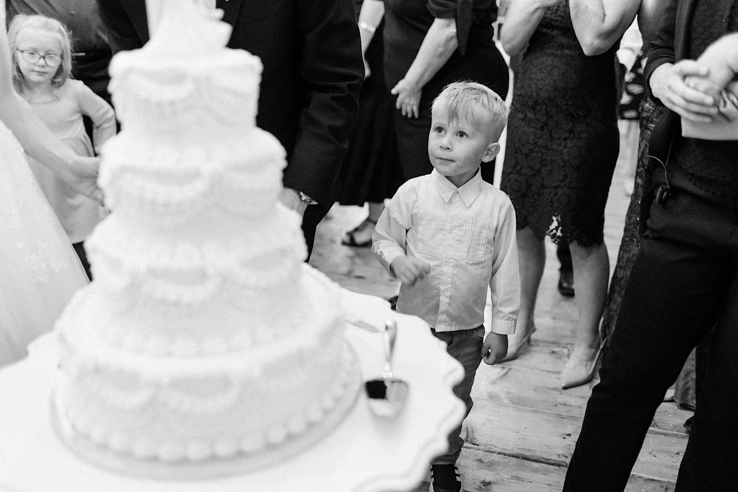 A young boy stands in front of a large, tiered wedding cake, surrounded by adults at a beautiful Lochwood Manor wedding gathering.