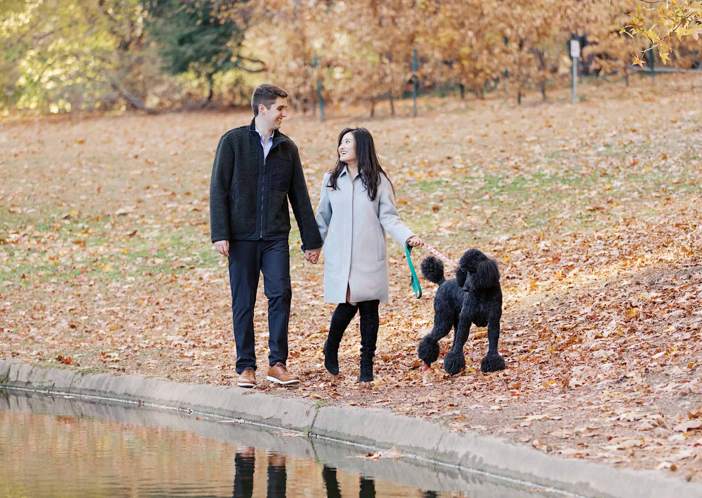 A man and a woman walk hand in hand along a park path by a pond, their large black poodle on a leash beside them. Autumn leaves cover the ground, creating the perfect scene for fall engagement photos in Chestnut Hill.