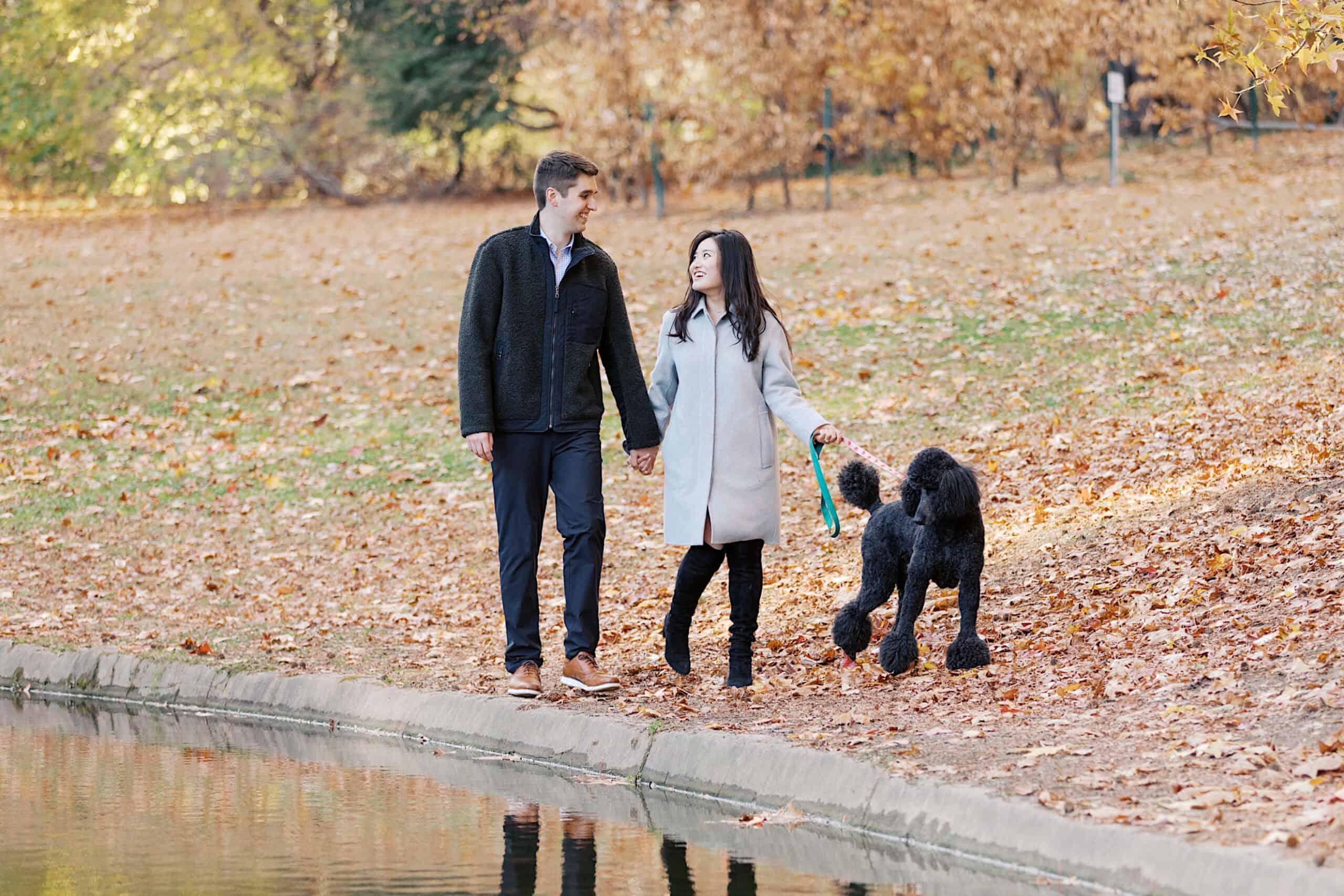 A man and a woman walk hand in hand along a park path by a pond, their large black poodle on a leash beside them. Autumn leaves cover the ground, creating the perfect scene for fall engagement photos in Chestnut Hill.